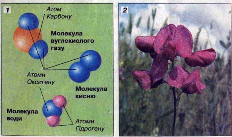  Природні та штучні системи