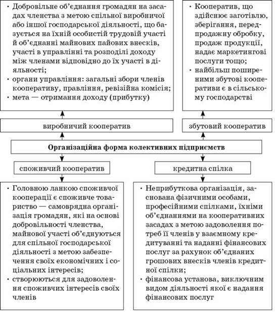  Організаційні форми колективних підприємств: виробничі, збутові, споживчі кооперативи, кредитні спілки. Організаційні форми підприємств державної власності