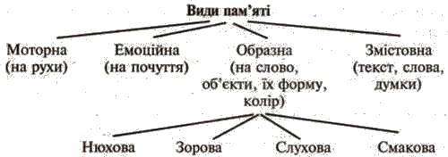  Види памяті. Розвиток памяті